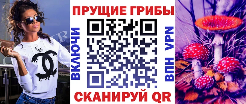 Галлюциногенные грибы мухоморы  нарко площадка состав  Чайковский  МЕГА как зайти 